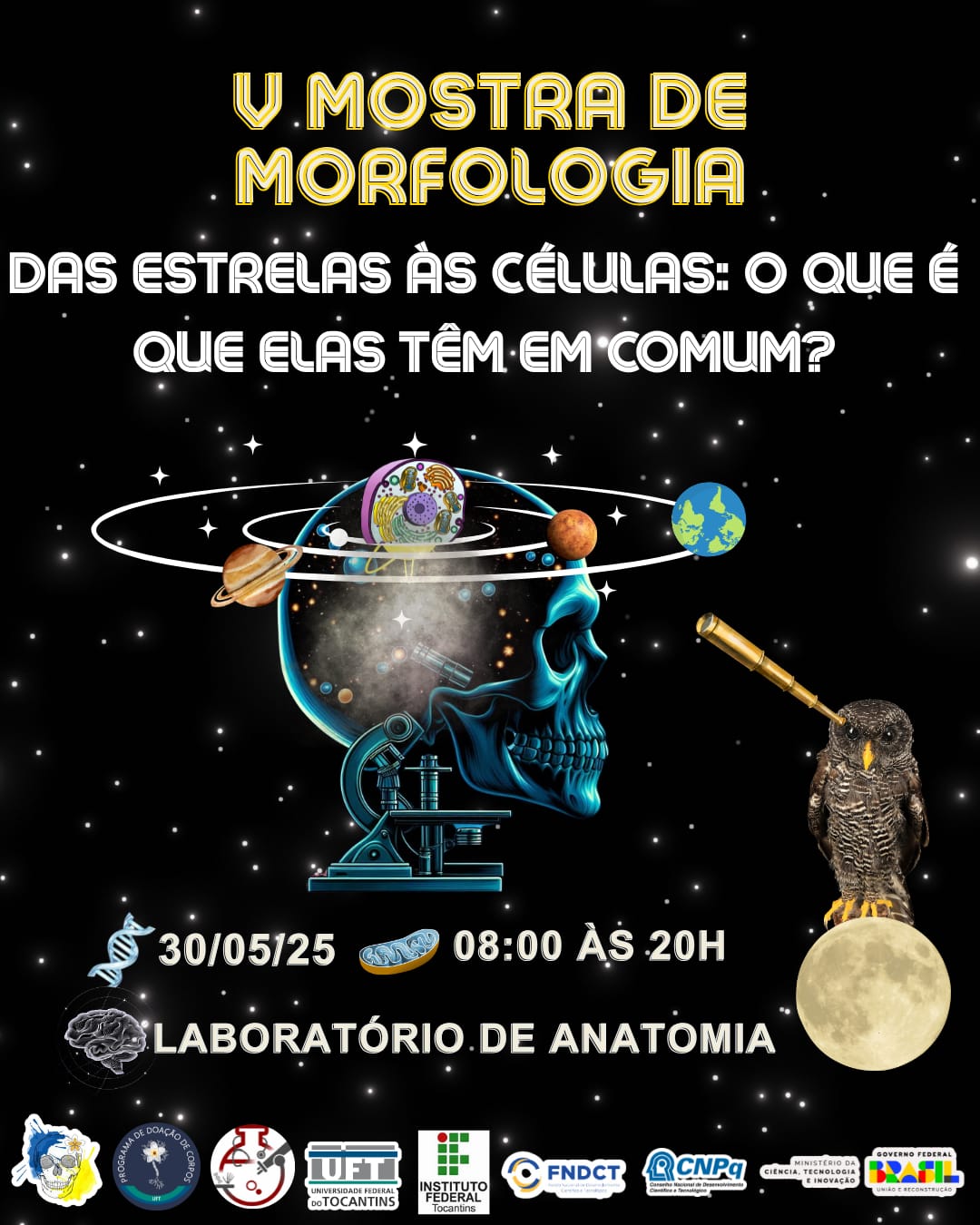 banner da atividade Das estrelas às células: o que elas têm em comum?