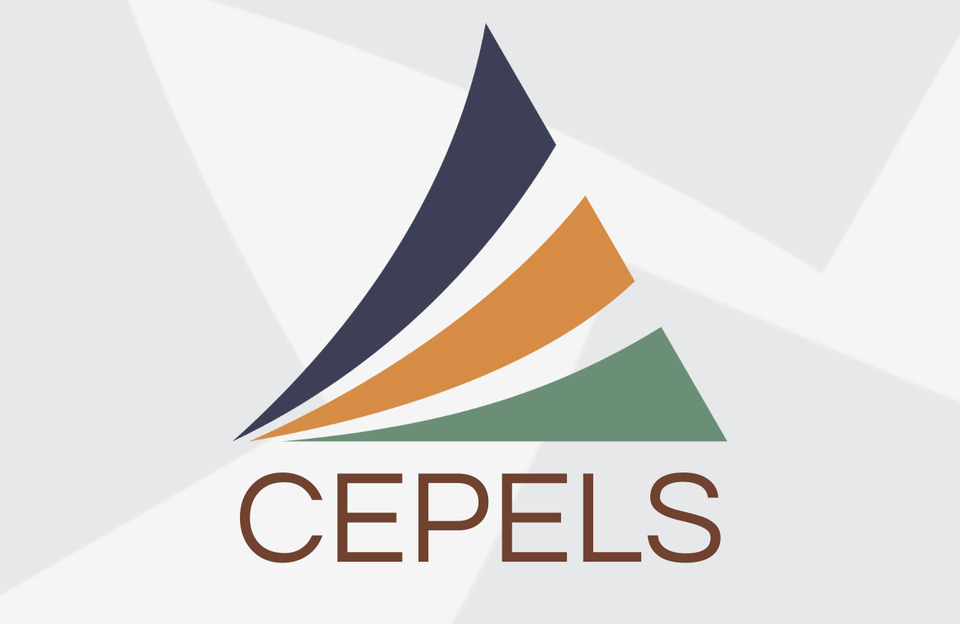 banner da atividade III Brincar e Cuidar do CEPELS-UFT