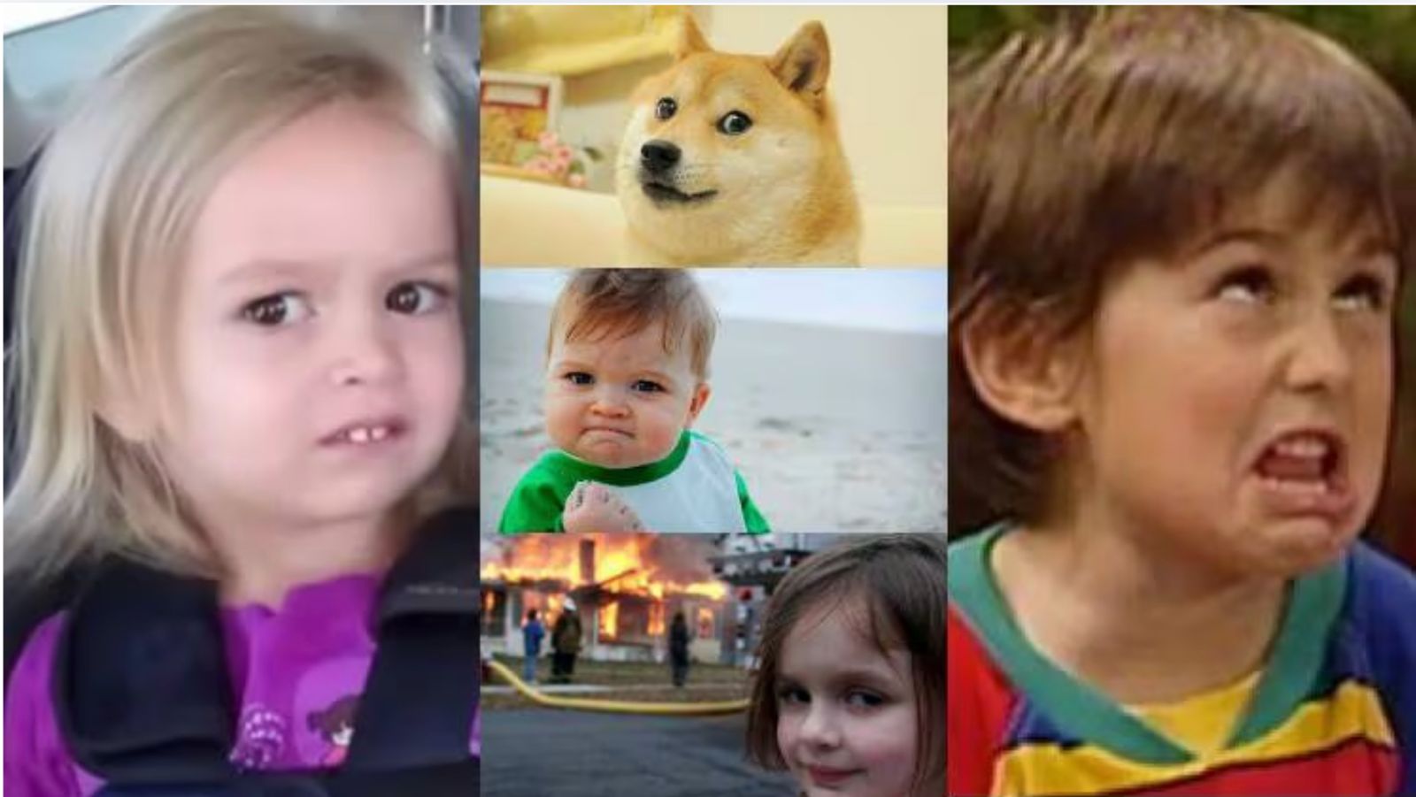 banner da atividade Por que estudar imagens?