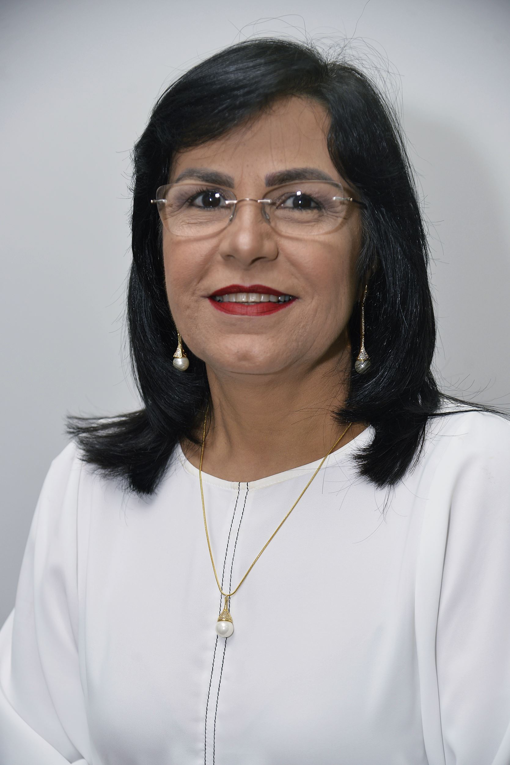 8080-*Dra. Virginia Visconde Brasil* (incompleto)